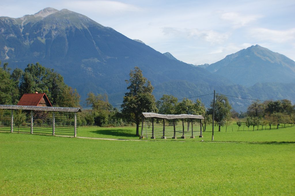 ApArt Bled 4